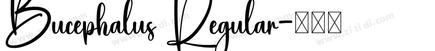 Bucephalus Regular字体转换